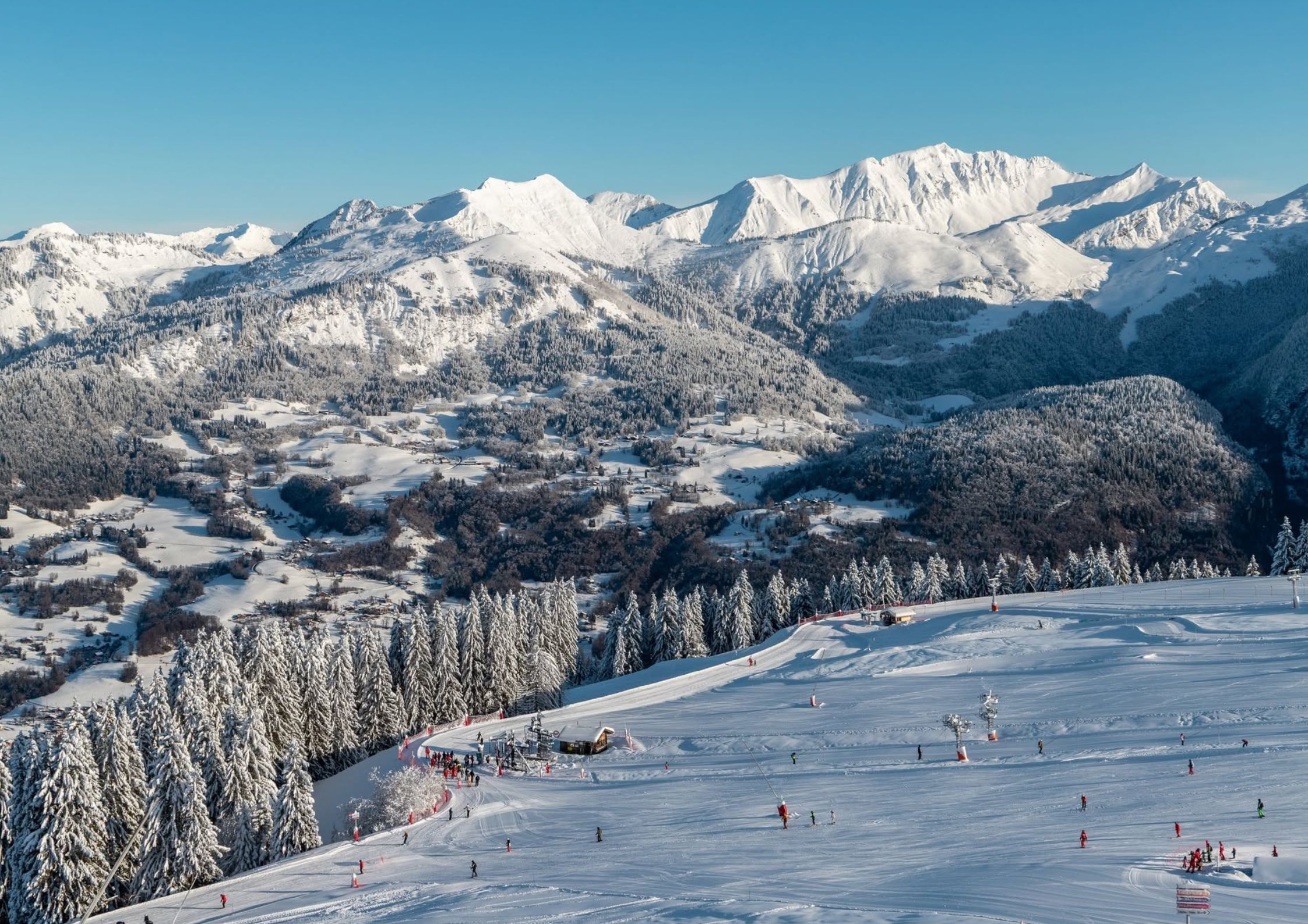 Panoramic view of wide high-altitude blue ski pistes in Samoëns lined with snow-covered pine trees and impressive alpine peaks in the Grand Massif network.